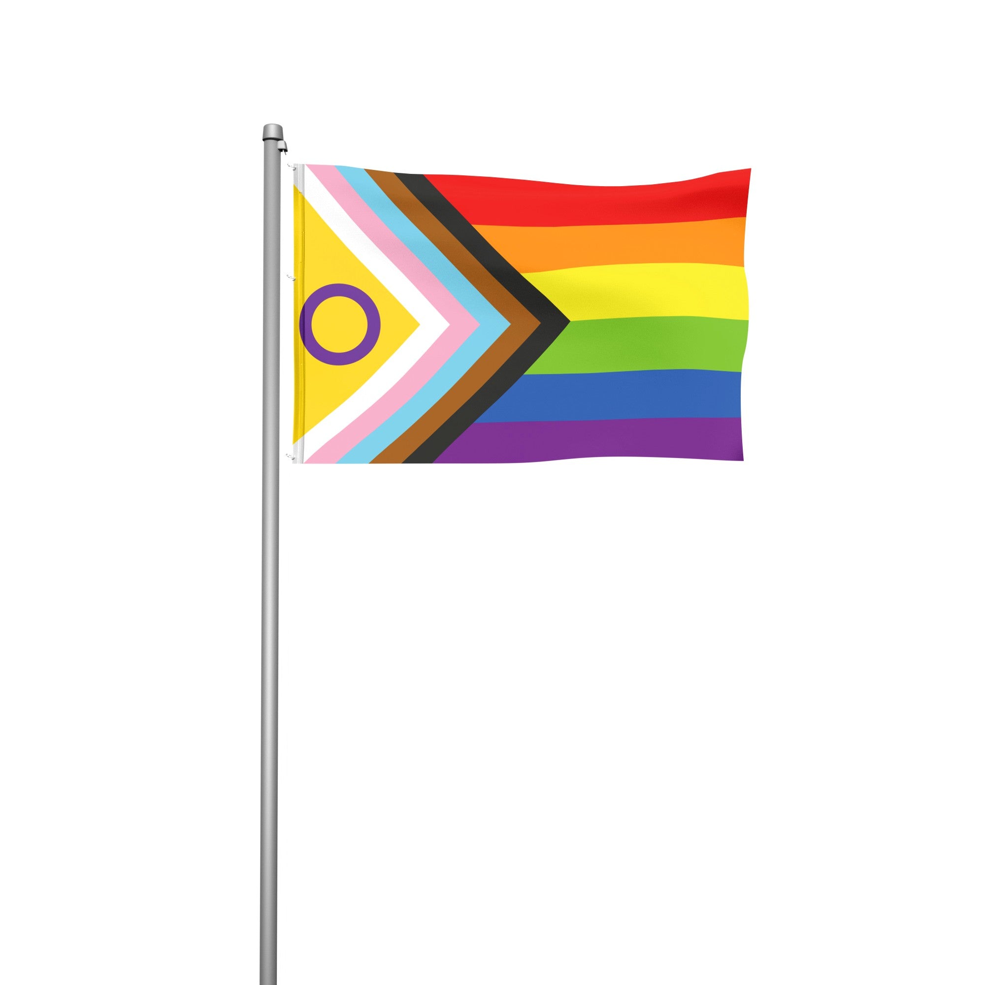 Inter*-inclusive Progress - Pride - Hissfahne